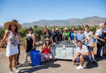 Expertos aseguran que experiencias relacionadas con el mundo del vino y la naturaleza generan bienestar emocional