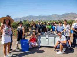 Expertos aseguran que experiencias relacionadas con el mundo del vino y la naturaleza generan bienestar emocional Expertos aseguran que experiencias relacionadas con el mundo del vino y la naturaleza generan bienestar emocional