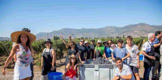 Expertos aseguran que experiencias relacionadas con el mundo del vino y la naturaleza generan bienestar emocional Expertos aseguran que experiencias relacionadas con el mundo del vino y la naturaleza generan bienestar emocional