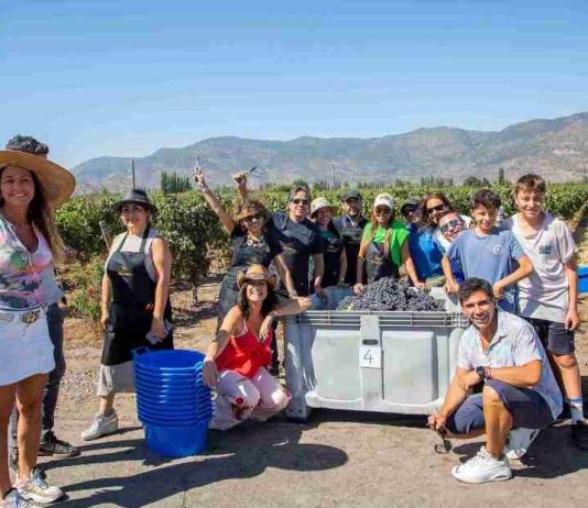 Expertos aseguran que experiencias relacionadas con el mundo del vino y la naturaleza generan bienestar emocional Expertos aseguran que experiencias relacionadas con el mundo del vino y la naturaleza generan bienestar emocional