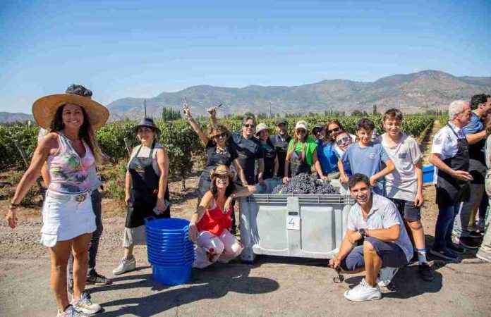 Expertos aseguran que experiencias relacionadas con el mundo del vino y la naturaleza generan bienestar emocional Expertos aseguran que experiencias relacionadas con el mundo del vino y la naturaleza generan bienestar emocional