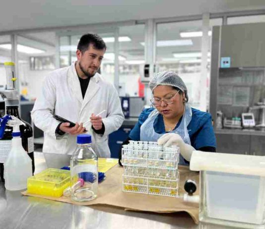 Farmavet: laboratorio de excelencia al servicio del país 100% operativo