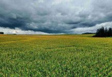 Frente climático entre Coquimbo y Biobío: Respaldo científico y claves técnicas para resguardar la fruticultura y horticultura Frente climático entre Coquimbo y Biobío: Respaldo científico y claves técnicas para resguardar la fruticultura y horticultura