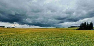 Frente climático entre Coquimbo y Biobío: Respaldo científico y claves técnicas para resguardar la fruticultura y horticultura Frente climático entre Coquimbo y Biobío: Respaldo científico y claves técnicas para resguardar la fruticultura y horticultura
