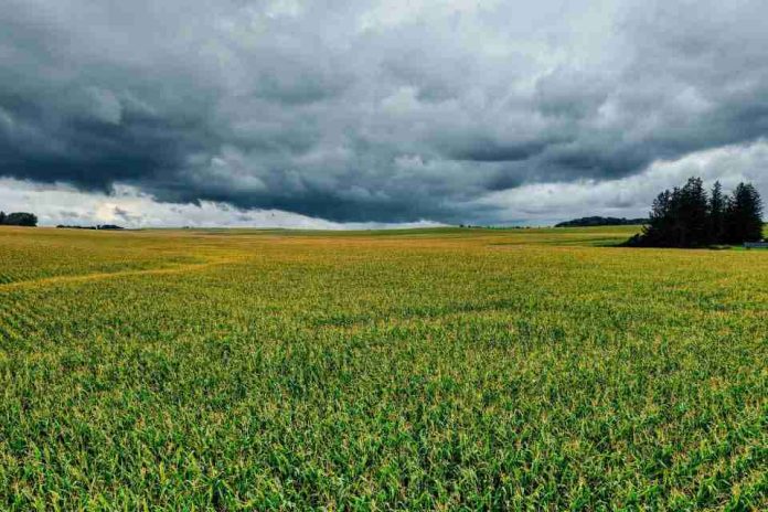 Frente climático entre Coquimbo y Biobío: Respaldo científico y claves técnicas para resguardar la fruticultura y horticultura