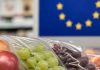 Frutas de Chile prepara al sector exportador ante la nueva regulación de envases de la Unión Europea Frutas de Chile prepara al sector exportador ante la nueva regulación de envases de la Unión Europea