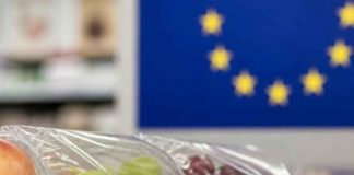 Frutas de Chile prepara al sector exportador ante la nueva regulación de envases de la Unión Europea