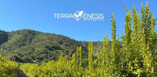 Reportaje | La fertilidad del suelo como una propiedad biológica emergente: fundamentos científicos del modelo Terragénesis La fertilidad del suelo como una propiedad biológica emergente: fundamentos científicos del modelo Terragénesis