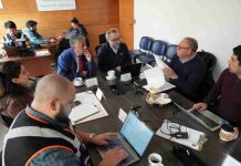 GORE destinará más de $264 millones para alimentar ganado afectado por el temporal