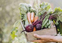 Gastronomía sostenible: ¿Por qué es tan relevante para el futuro?