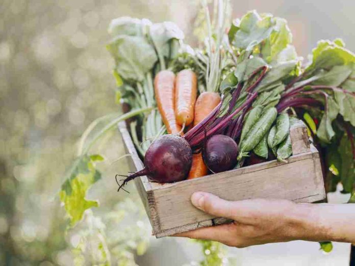 Gastronomía sostenible: ¿Por qué es tan relevante para el futuro?