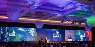 Global Grape Convention 2026: Santiago reunirá a la industria mundial de la uva de mesa Global Grape Convention 2026: Santiago reunirá a la industria mundial de la uva de mesa