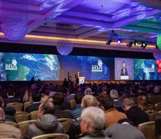 Global Grape Convention 2026: Santiago reunirá a la industria mundial de la uva de mesa Global Grape Convention 2026: Santiago reunirá a la industria mundial de la uva de mesa