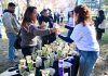 Gobierno de Santiago capacita a 200 personas en compostaje comunitario con "Nos Compostamos Bien II"