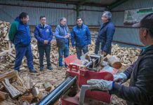 Gobierno llama a preferir leña seca y de origen legal para una calefacción más eficiente y menos contaminante