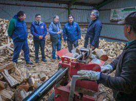 Gobierno llama a preferir leña seca y de origen legal para una calefacción más eficiente y menos contaminante