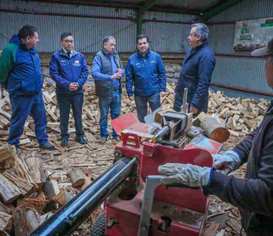 Gobierno llama a preferir leña seca y de origen legal para una calefacción más eficiente y menos contaminante Gobierno llama a preferir leña seca y de origen legal para una calefacción más eficiente y menos contaminante