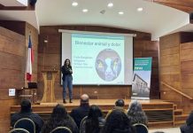 Gran interés generó workshop participativo de INIA Remehue y la Universidad Estatal de Michigan
