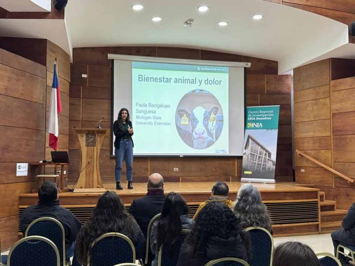 Gran interés generó workshop participativo de INIA Remehue y la Universidad Estatal de Michigan Gran interés generó workshop participativo de INIA Remehue y la Universidad Estatal de Michigan