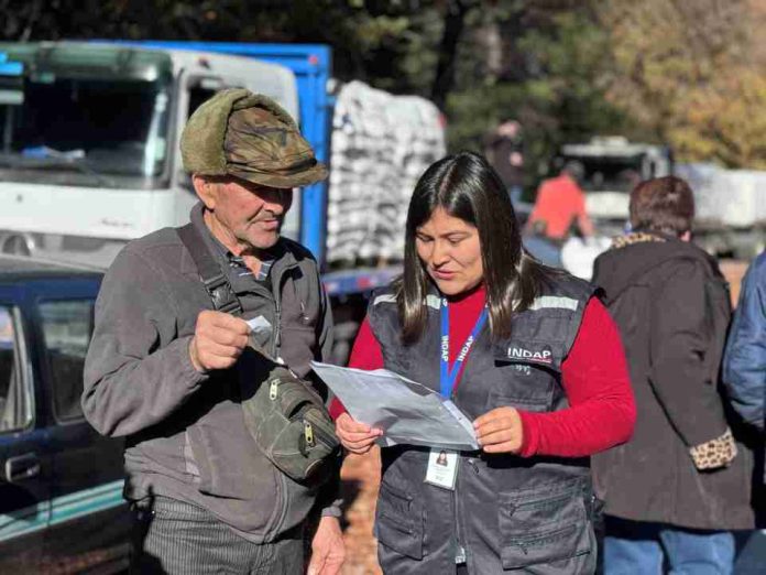 INDAP Ñuble cierra despliegue regional con la entrega de más de 800 toneladas de insumos agrícolas como capital de trabajo. INDAP Ñuble cierra despliegue regional con la entrega de más de 800 toneladas de insumos agrícolas como capital de trabajo.