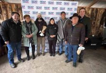 INDAP Ñuble conmemoró el Día del Campesino reconociendo el liderazgo rural y acompañando a agricultores afectados por emergencias climáticas. INDAP Ñuble conmemoró el Día del Campesino reconociendo el liderazgo rural y acompañando a agricultores afectados por emergencias climáticas.