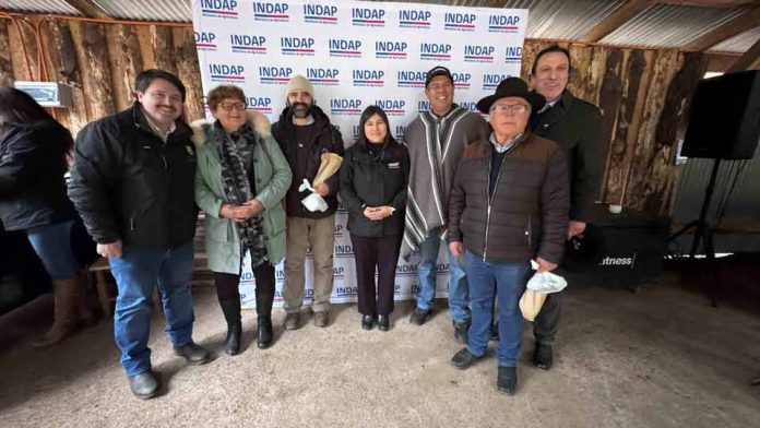 INDAP Ñuble conmemoró el Día del Campesino reconociendo el liderazgo rural y acompañando a agricultores afectados por emergencias climáticas. INDAP Ñuble conmemoró el Día del Campesino reconociendo el liderazgo rural y acompañando a agricultores afectados por emergencias climáticas.