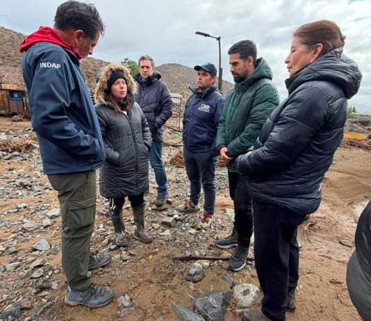 INDAP activa medidas de apoyo para agricultores afectados por la emergencia en Atacama y Coquimbo INDAP activa medidas de apoyo para agricultores afectados por la emergencia en Atacama y Coquimbo