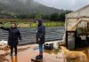 INDAP intensifica despliegue en terreno para acompañar a los agricultores afectados por sistema frontal INDAP intensifica despliegue en terreno para acompañar a los agricultores afectados por sistema frontal