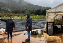 INDAP intensifica despliegue en terreno para acompañar a los agricultores afectados por sistema frontal INDAP intensifica despliegue en terreno para acompañar a los agricultores afectados por sistema frontal