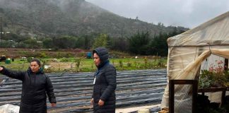 INDAP intensifica despliegue en terreno para acompañar a los agricultores afectados por sistema frontal