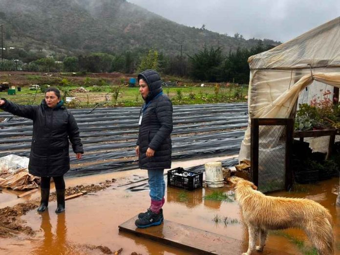 INDAP intensifica despliegue en terreno para acompañar a los agricultores afectados por sistema frontal INDAP intensifica despliegue en terreno para acompañar a los agricultores afectados por sistema frontal
