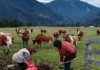 INDAP refuerza continuidad del apoyo a mujeres rurales y precisa término de convenio de ejecución con Fundación PRODEMU