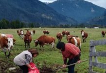 INDAP refuerza continuidad del apoyo a mujeres rurales y precisa término de convenio de ejecución con Fundación PRODEMU