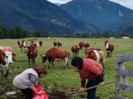 INDAP refuerza continuidad del apoyo a mujeres rurales y precisa término de convenio de ejecución con Fundación PRODEMU INDAP refuerza continuidad del apoyo a mujeres rurales y precisa término de convenio de ejecución con Fundación PRODEMU