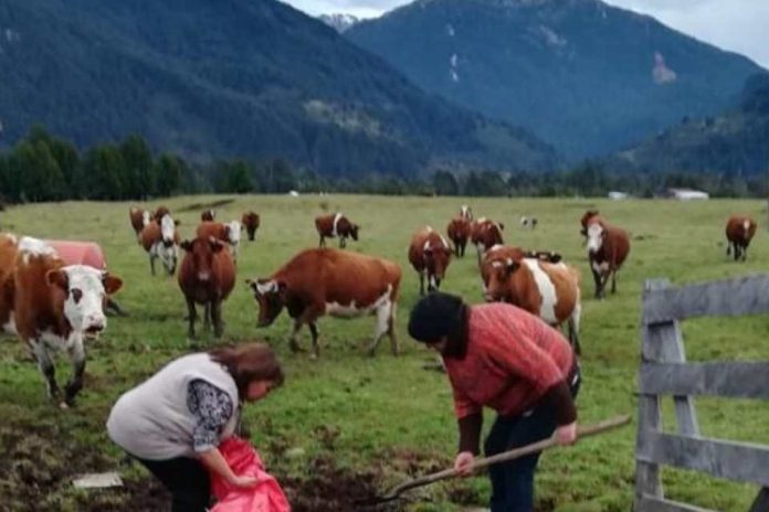 INDAP refuerza continuidad del apoyo a mujeres rurales y precisa término de convenio de ejecución con Fundación PRODEMU