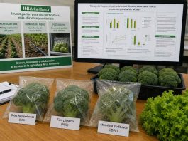 INIA Carillanca fortalece investigación en horticultura sostenible con tres estudios presentados en congreso internacional INIA Carillanca fortalece investigación en horticultura sostenible con tres estudios presentados en congreso internacional