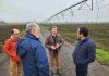 INIA refuerza colaboración con sector forestal e inicia proyecto para manejar plaga que afecta exportaciones de madera