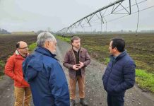 INIA refuerza colaboración con sector forestal e inicia proyecto para manejar plaga que afecta exportaciones de madera