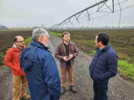 INIA refuerza colaboración con sector forestal e inicia proyecto para manejar plaga que afecta exportaciones de madera INIA refuerza colaboración con sector forestal e inicia proyecto para manejar plaga que afecta exportaciones de madera