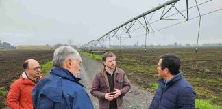 INIA refuerza colaboración con sector forestal e inicia proyecto para manejar plaga que afecta exportaciones de madera INIA refuerza colaboración con sector forestal e inicia proyecto para manejar plaga que afecta exportaciones de madera