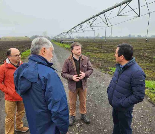 INIA refuerza colaboración con sector forestal e inicia proyecto para manejar plaga que afecta exportaciones de madera INIA refuerza colaboración con sector forestal e inicia proyecto para manejar plaga que afecta exportaciones de madera