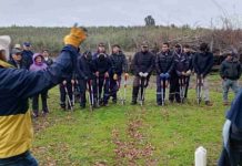 INIA y FIA fortalecen capacidades para el manejo del olivo con taller de poda en La Araucanía INIA y FIA fortalecen capacidades para el manejo del olivo con taller de poda en La Araucanía