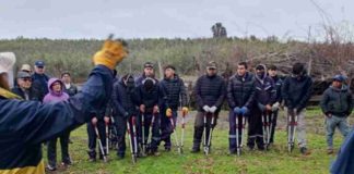 INIA y FIA fortalecen capacidades para el manejo del olivo con taller de poda en La Araucanía INIA y FIA fortalecen capacidades para el manejo del olivo con taller de poda en La Araucanía