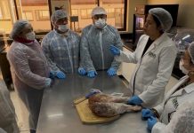 Productores de Los Lagos agregan valor a la carne ovina con elaboración de jamón serrano Productores de Los Lagos agregan valor a la carne ovina con elaboración de jamón serrano