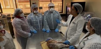 Productores de Los Lagos agregan valor a la carne ovina con elaboración de jamón serrano Productores de Los Lagos agregan valor a la carne ovina con elaboración de jamón serrano