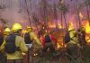 Incendios forestales: CONAF llama a la prevención frente al factor crítico del viento Incendios forestales: CONAF llama a la prevención frente al factor crítico del viento