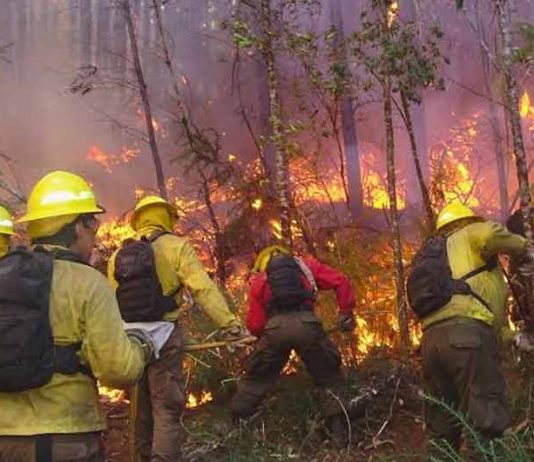 Incendios forestales: CONAF llama a la prevención frente al factor crítico del viento Incendios forestales: CONAF llama a la prevención frente al factor crítico del viento