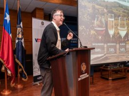 Industria vitivinícola del Biobío proyecta nuevos desafíos con foco en innovación y desarrollo regional Industria vitivinícola del Biobío proyecta nuevos desafíos con foco en innovación y desarrollo regional