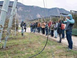 Interpoma Tours 2026: la innovación vista sobre el terreno Interpoma Tours 2026: la innovación vista sobre el terreno