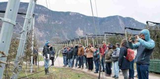 Interpoma Tours 2026: la innovación vista sobre el terreno Interpoma Tours 2026: la innovación vista sobre el terreno